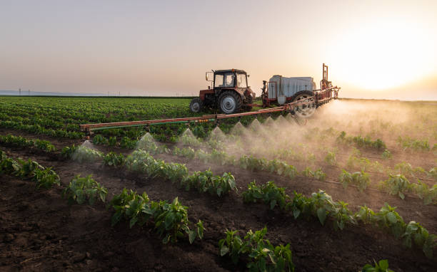 Spider Control Near Me in Hermiston, OR