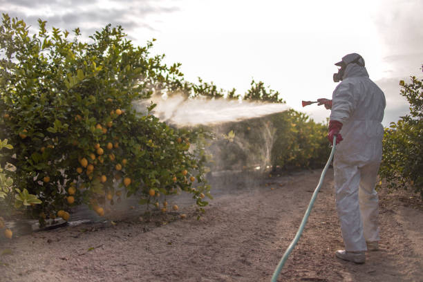 Hermiston, OR Pest Control Company